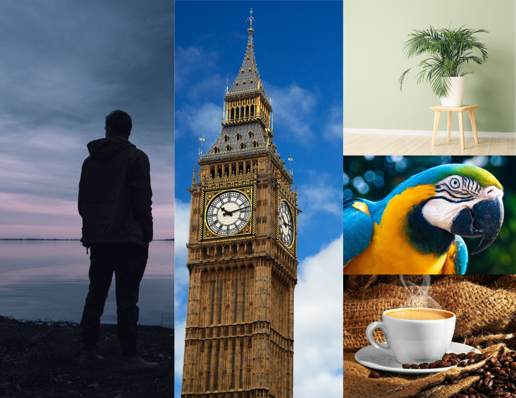 Picture from left to right, : a person (man standing on a shoreline), a place (Big Ben in London), and things. From top to bottom on the right side, a plant, a parrot, and a cup of coffee--all of which are things. Although, I could argue for the parrot being a person. 